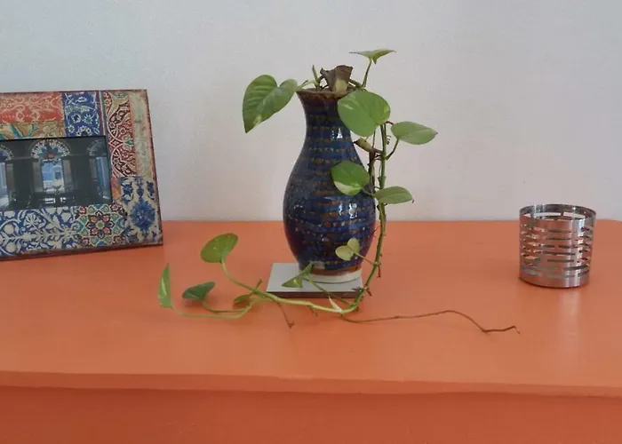 Pensión Casa Venado *